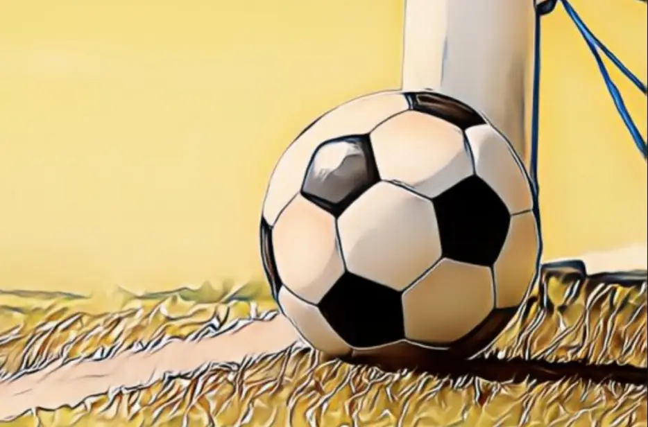 Community information session in Sydney on Bangladesh's participation in the AFC Women's Asian Cup