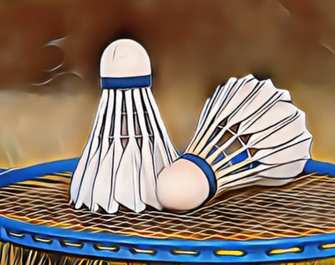 Badminton tournament of expatriate Bangladeshis in France